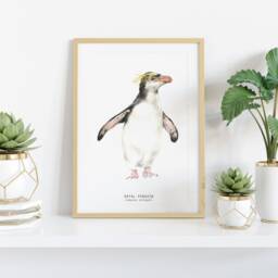 Royal Penguin Watercolor Art Print - Nursery, Living, Bathroom Poster Nature Wall Prints Penguins Home D??cor 8x10 Eudyptes Schlegeli - thumbnail 2