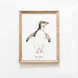 Royal Penguin Watercolor Art Print - Nursery, Living, Bathroom Poster Nature Wall Prints Penguins Home D??cor 8x10 Eudyptes Schlegeli - thumbnail 1