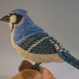 Livanbirds, Blue Jay, Carved Birds, Home Decor, Livanbirds, Realistic Birds, Hand Carved Sculptures - thumbnail 4