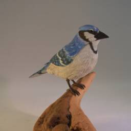 Livanbirds, Blue Jay, Carved Birds, Home Decor, Livanbirds, Realistic Birds, Hand Carved Sculptures - thumbnail 2
