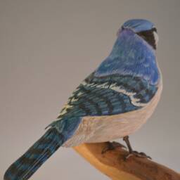 Livanbirds, Blue Jay, Carved Birds, Home Decor, Livanbirds, Realistic Birds, Hand Carved Sculptures - thumbnail 3