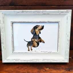 Dachshund Print 17x12cm - White Rustic Frame - Sausage Dog Wall Art, Gift For Doxie Lovers - thumbnail 2