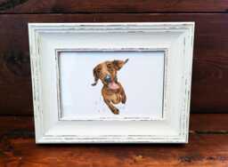 Dachshund Print 17x12cm - White Rustic Frame - Sausage Dog Wall Art, Gift For Doxie Lovers