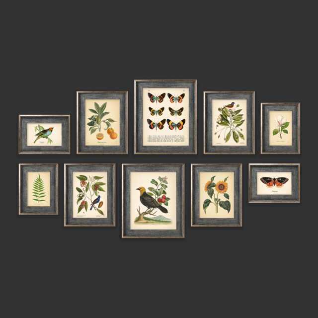 Set Of 10 Vintage Botanical Prints Poster Flower Butterfly Sunflower Fern Leaf Rose Bird Wall Art Cottage - image 1