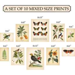 Set Of 10 Vintage Botanical Prints Poster Flower Butterfly Sunflower Fern Leaf Rose Bird Wall Art Cottage - thumbnail 2