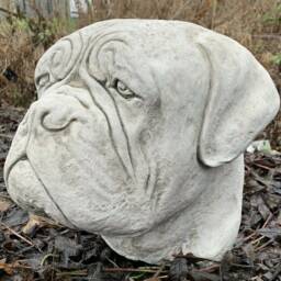 Stone Garden Large Dog Dogue De Bordeaux Mastiff Boxer Head Statue Cap Ornament - thumbnail 2