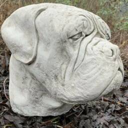Stone Garden Large Dog Dogue De Bordeaux Mastiff Boxer Head Statue Cap Ornament - thumbnail 3