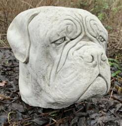 Stone Garden Large Dog Dogue De Bordeaux Mastiff Boxer Head Statue Cap Ornament - thumbnail 1