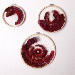 Clearance - Phoenix Medium Circular Hand Woven Wall Hanging - thumbnail 2