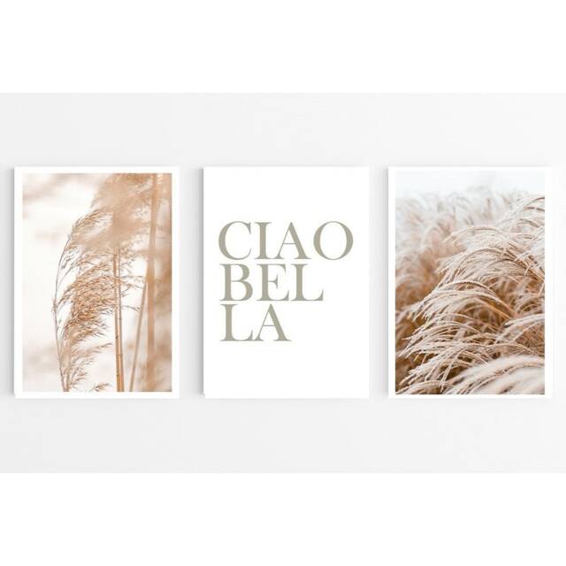 Pampas Grass Ciao Bella Set Of 3 Prints