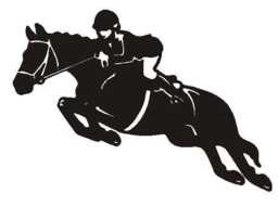 Horse Racing Jockey Decal Car Van Bonnet Vinyl Side Sticker Wall Art Graphic Window Sign Motorhome Campervan Box