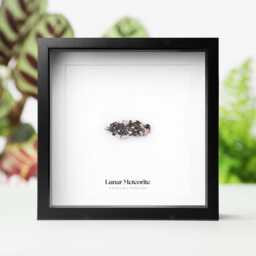 Framed Polished Lunar Meteorite Slice - Unique Space Gift For Astronomy Lover Celestial Home Decor Real Moon Rock Display