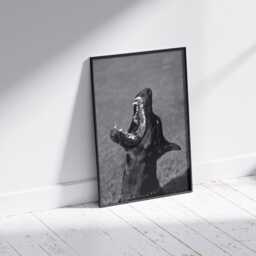 Aesthetic Dog Poster/Print For Room Wall Art, Art Trendy Poster Design, Bedroom Or Kitchen - thumbnail 3