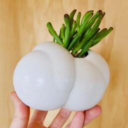 Sculptural Ceramic Planter - thumbnail 3