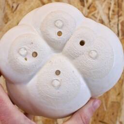 Sculptural Ceramic Planter - thumbnail 4