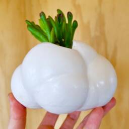 Sculptural Ceramic Planter - thumbnail 2