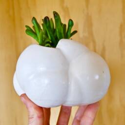 Sculptural Ceramic Planter - thumbnail 1