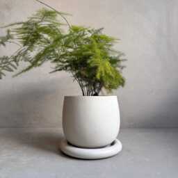 Concrete Planter With Drainage, Cute Plant Pot, Bubble Planter, Decorative Cement Minimalist Pot Saucer, Nordic, Chunky - thumbnail 2