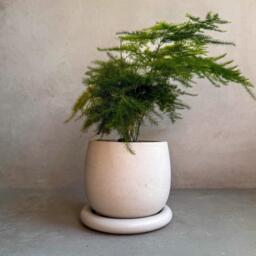 Concrete Planter With Drainage, Cute Plant Pot, Bubble Planter, Decorative Cement Minimalist Pot Saucer, Nordic, Chunky - thumbnail 1