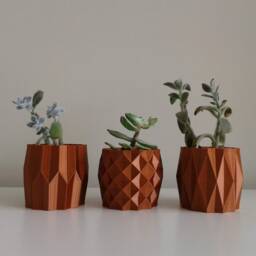 Set Of 3 Indoor Planters, Plant Pot Holder For Cacti & Small Plants - thumbnail 2