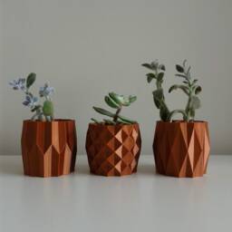 Set Of 3 Indoor Planters, Plant Pot Holder For Cacti & Small Plants - thumbnail 3