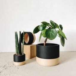 Indoor Planter - Nairobi Original Gift For Plant Lovers - thumbnail 2