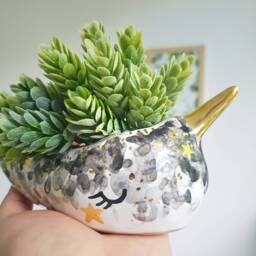 Narwhal Planter, Animal Mini Ceramic Narwhal, Decor, Birthday - thumbnail 2