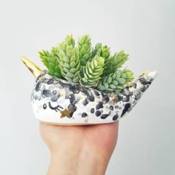 Narwhal Planter, Animal Mini Ceramic Narwhal, Decor, Birthday