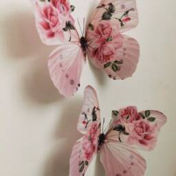 Shabby Chic Pink Rose Butterfly Wall Decals 3D Home Decor, Set Of 4 - thumbnail 3