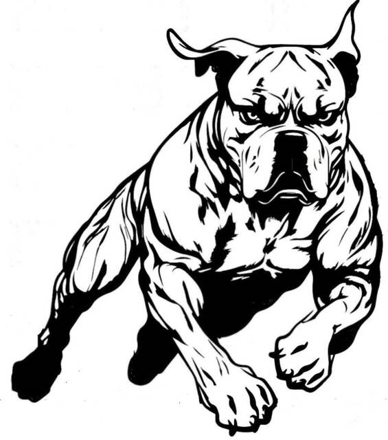 British English Bulldog Wall Art Decal Car Van Bonnet Vinyl Side Sticker Hood Graphic Window Sign Motorhome Campervan Bull Dog Animal