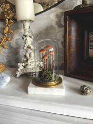 Handmade Conocybe Filaris Mushroom Scene in Glass Cloche With Vintage Marble Base