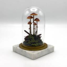 Handmade Conocybe Filaris Mushroom Scene in Glass Cloche With Vintage Marble Base - thumbnail 3