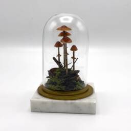 Handmade Conocybe Filaris Mushroom Scene in Glass Cloche With Vintage Marble Base - thumbnail 2