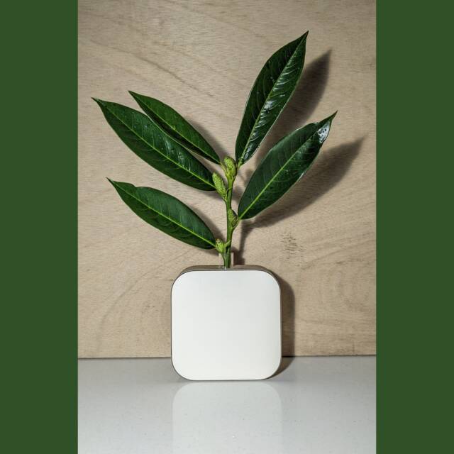 Bud Vase - Thick Laminated Plywood Small Streamline Original - image 1