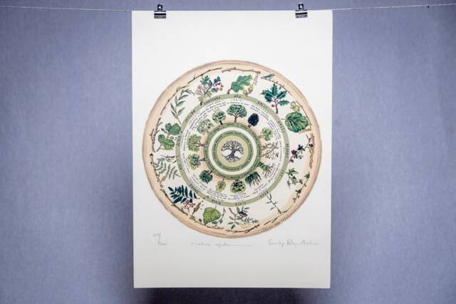 "Celtic Tree Calendar - Limited Edition " - image 1