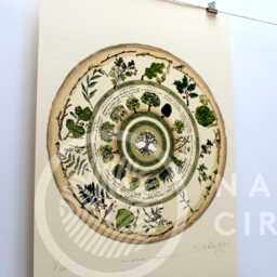"Celtic Tree Calendar - Limited Edition " - thumbnail 3