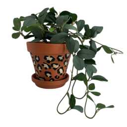 Leopard Print Terracotta Plant Pot Stylish Home Decor - 13 cm - thumbnail 4