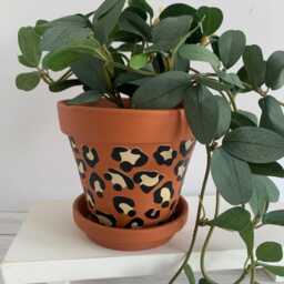 Leopard Print Terracotta Plant Pot Stylish Home Decor - 13 cm - thumbnail 3