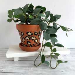 Leopard Print Terracotta Plant Pot Stylish Home Decor - 13 cm - thumbnail 1