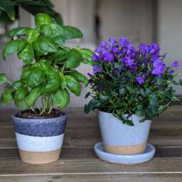 Two Toned Speckled Flower Pot - thumbnail 2
