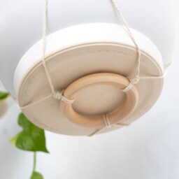 Wall Hanging Plant Holder, Hanger, Wooden Hook For Plants, Hook - thumbnail 4