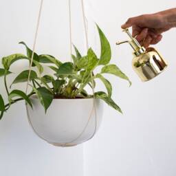 Wall Hanging Plant Holder, Hanger, Wooden Hook For Plants, Hook - thumbnail 3