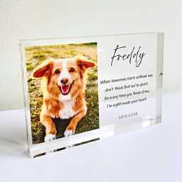 Dog Memorial Gift Photo Keepsake - Personalised Pet Loss Sympathy Plaque Custom Frame Cat Bereavement For Friend - thumbnail 1