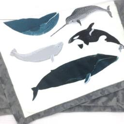 Whales Minky Baby Blanket, Orca, Narwhal, Ocean Nursery Decor, Whale Baby Boy Shower Gift, Add An Embroidered Name, Lovey & Sizes - thumbnail 2