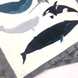 Whales Minky Baby Blanket, Orca, Narwhal, Ocean Nursery Decor, Whale Baby Boy Shower Gift, Add An Embroidered Name, Lovey & Sizes - thumbnail 3