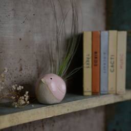 Bird Air Plant Holder With in Pale Pink - thumbnail 4