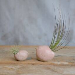 Bird Air Plant Holder With in Pale Pink - thumbnail 3