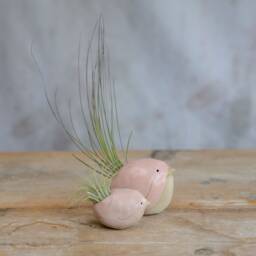 Bird Air Plant Holder With in Pale Pink