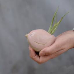Bird Air Plant Holder With in Pale Pink - thumbnail 2