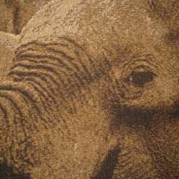 Savannah Elephant Tapestry Cushion Cover Sham - thumbnail 2